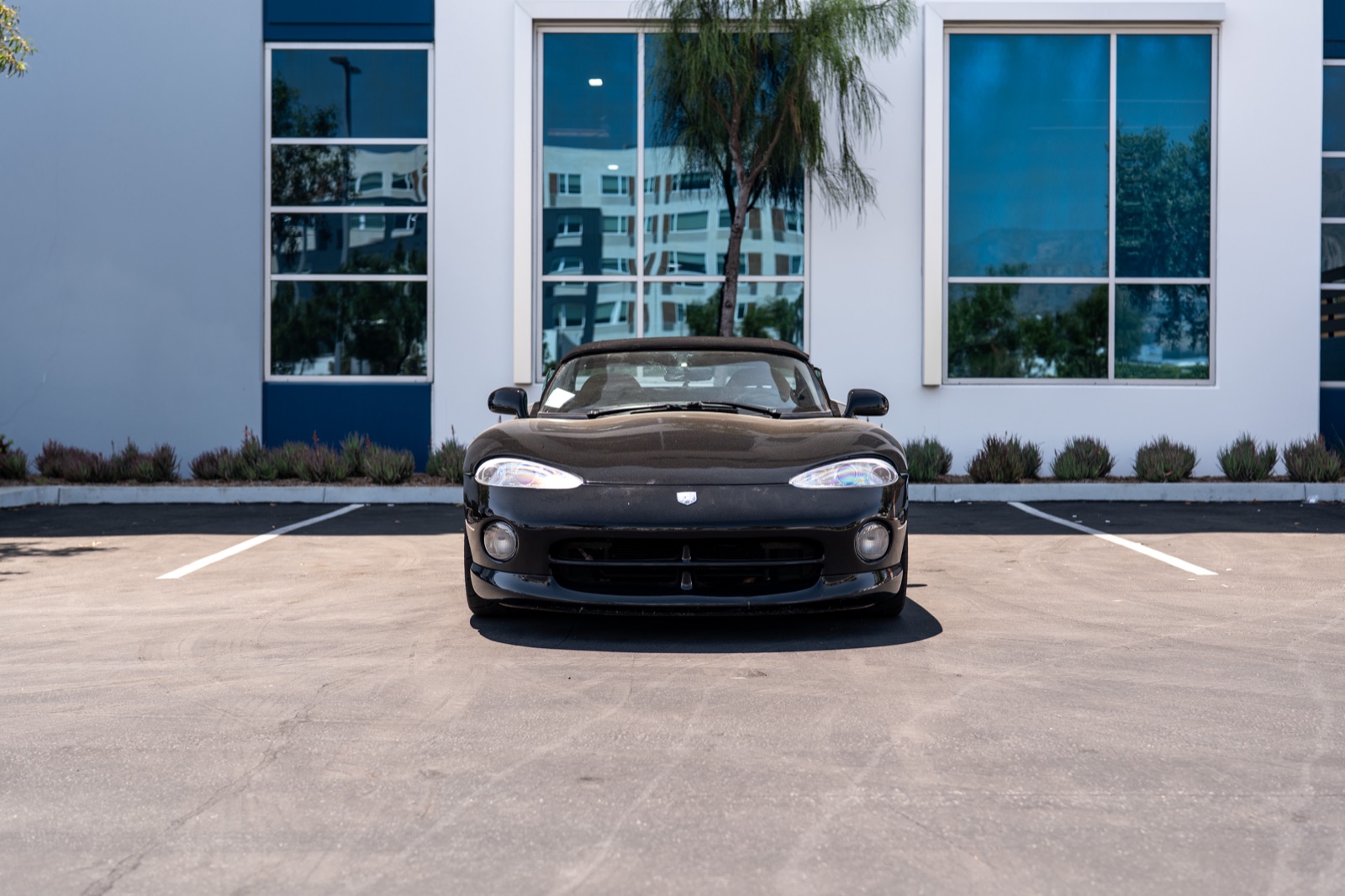 Dodge Viper RT/10, photograph 2 of 19