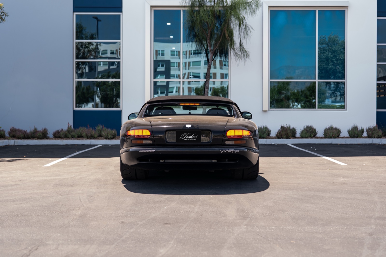 Dodge Viper RT/10, photograph 15 of 19
